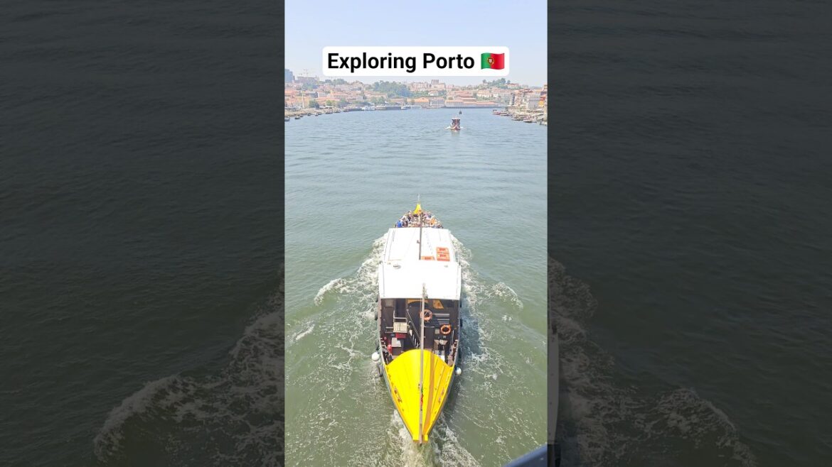 Porto Adventures with Avó, Kobe, Sandy & Zuri 🇵🇹☀️ #travel #portugal #fyp Porto Adventures with Avó, Kobe, Sandy & Zuri 🇵🇹☀️ #travel #portugal #fyp