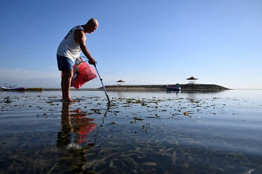 Scientists in Japan develop plastic that dissolves in seawater within hours – Science & Tech Scientists in Japan develop plastic that dissolves in seawater within hours