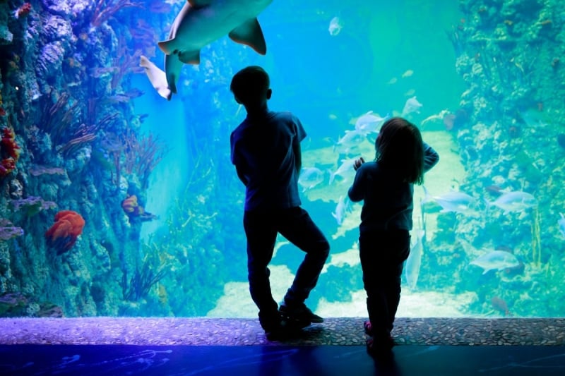 tokyo aquariums