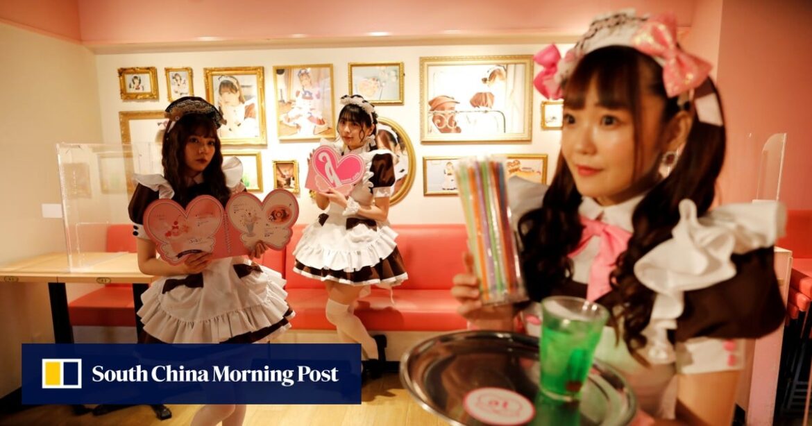 Japan’s maid cafe staff join fight against groping: ‘we won’t tolerate it’ Japan’s maid cafe staff join fight against groping: ‘we won’t tolerate it’