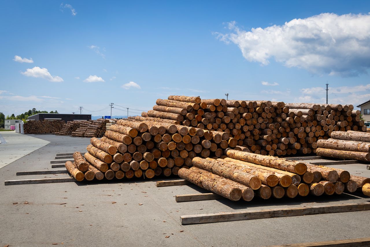 Most lumber is sourced from within Fukushima: cedar from Tamura and larch from Minamiaizu. (© Nippon.com)