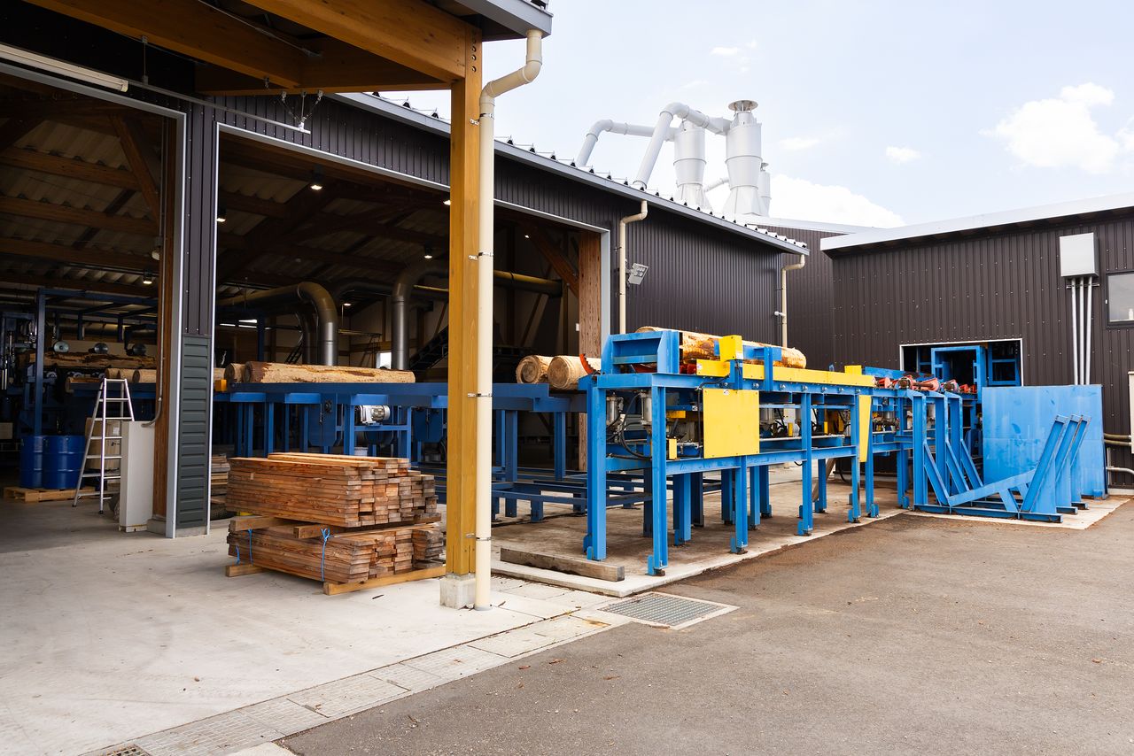 Logs that are too large for standard saws are more labor-intensive to process. (© Nippon.com)