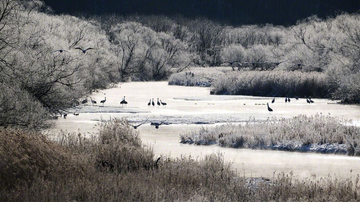 Hokkaidō: A Tapestry of Lakes and Rivers