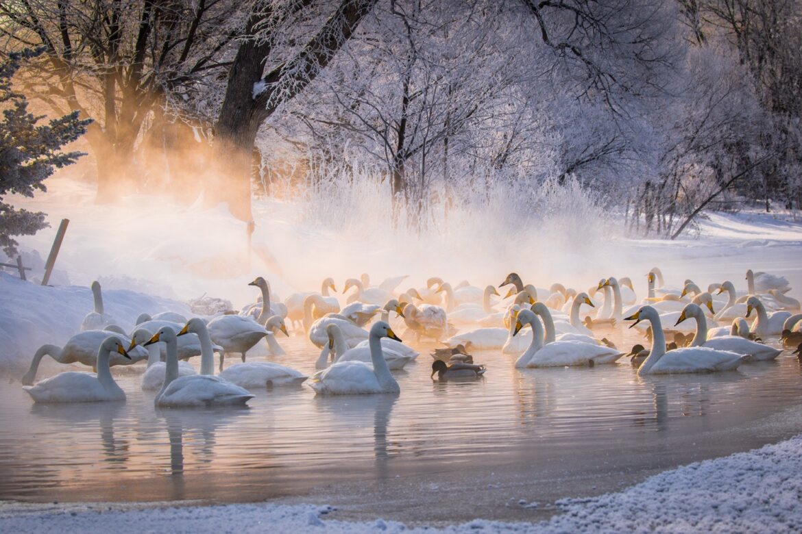 5 Must-Visit Hot Springs in Hokkaido|Hot spring feature|HOKKAIDO LOVE! -Hokkaido Official Tourism Site 5 Must-Visit Hot Springs in Hokkaido