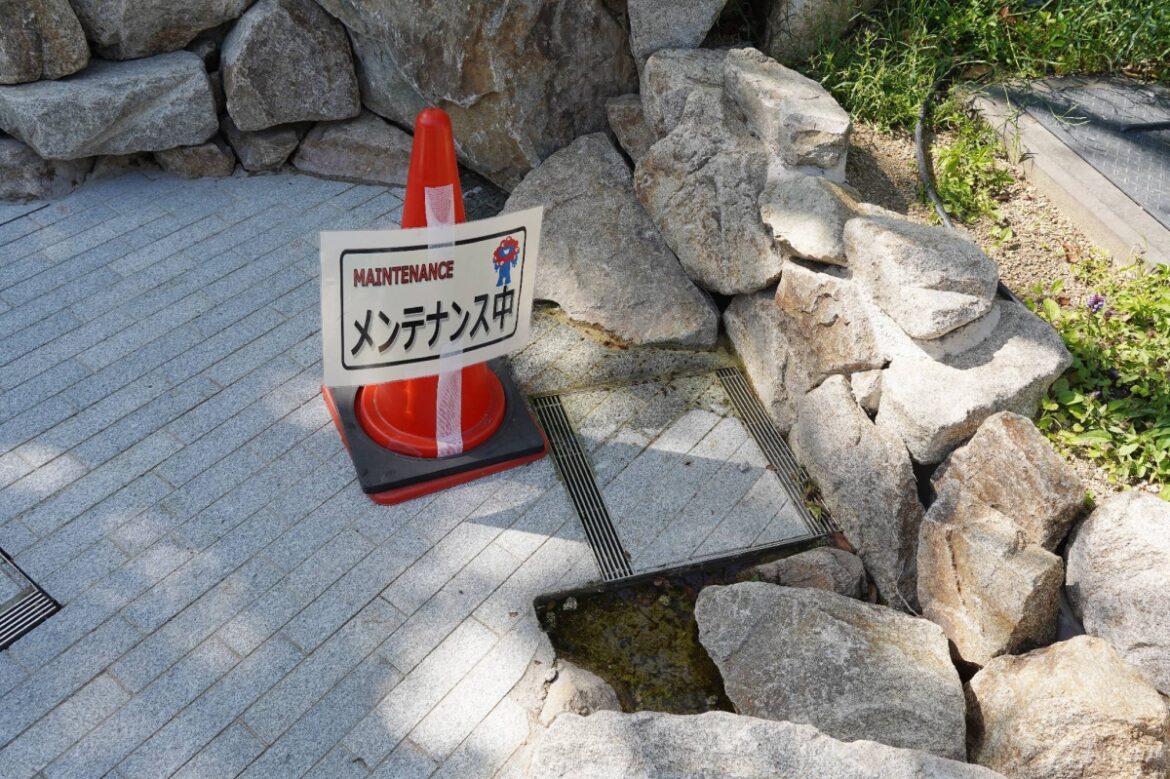 Swarms of midges plague Osaka Expo site