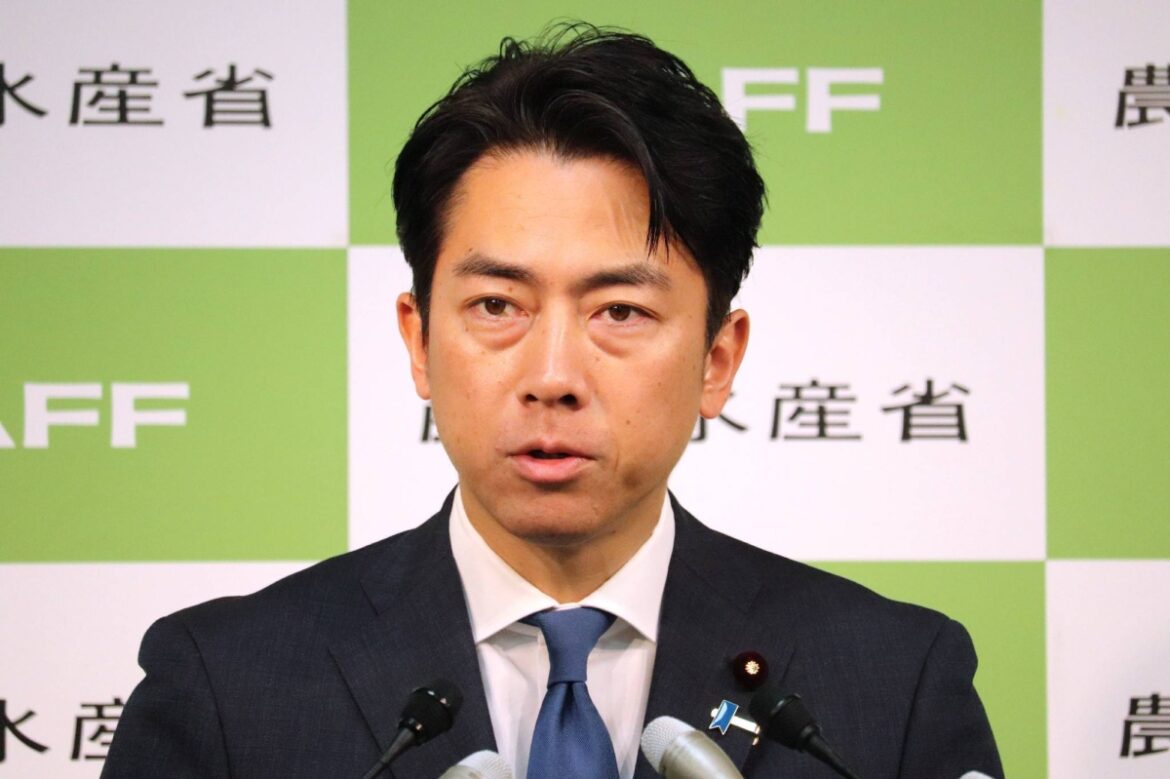 Japan to release extra 200,000 tons of stockpiled rice as prices fall