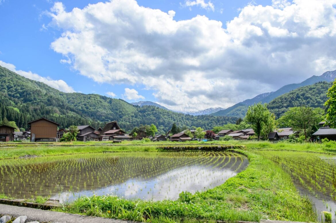 Japan considers new system to connect urban and rural populations