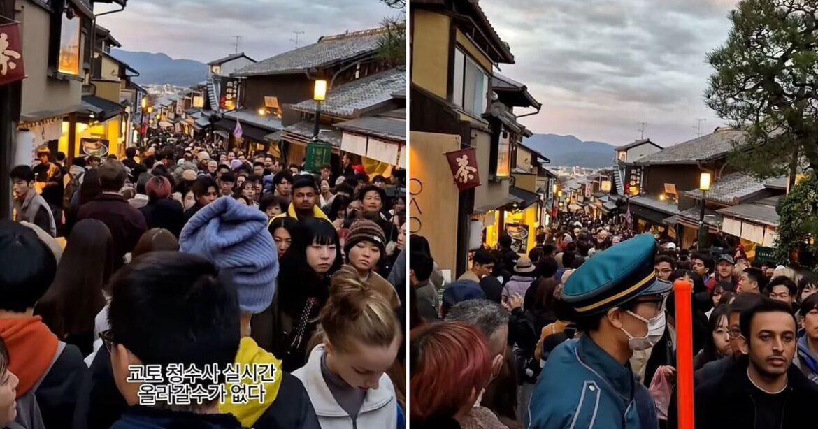 Kyoto dubbed ‘seventh ring of Hell’ after tourists take over pretty cobbled street | World | News Kyoto dubbed 'seventh ring of Hell' after tourists take over pretty cobbled street | World | News