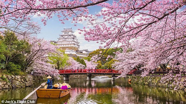 One person will win the prize of two round-trip flight tickets to Japan, with travel valid anytime until the end of 2025, giving you plenty of time to plan your getaway