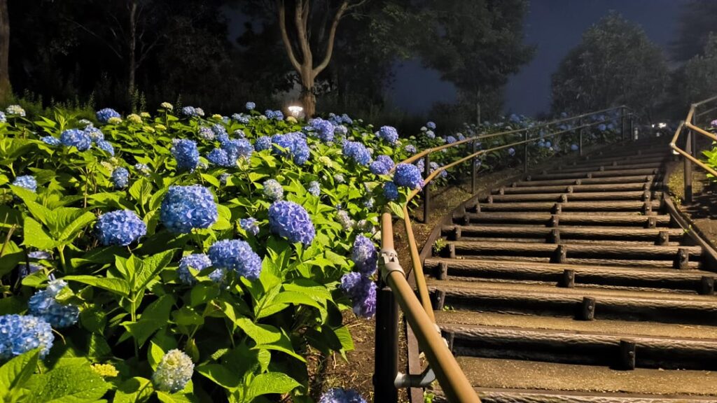 Odaiba, Tokyo. Good place to have a walk after dinner in May