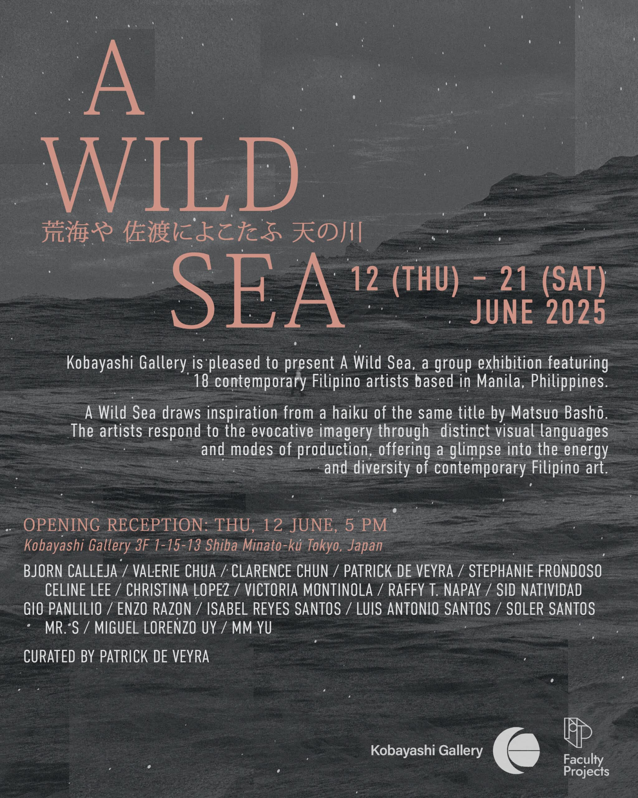 A Wild Sea (poster)