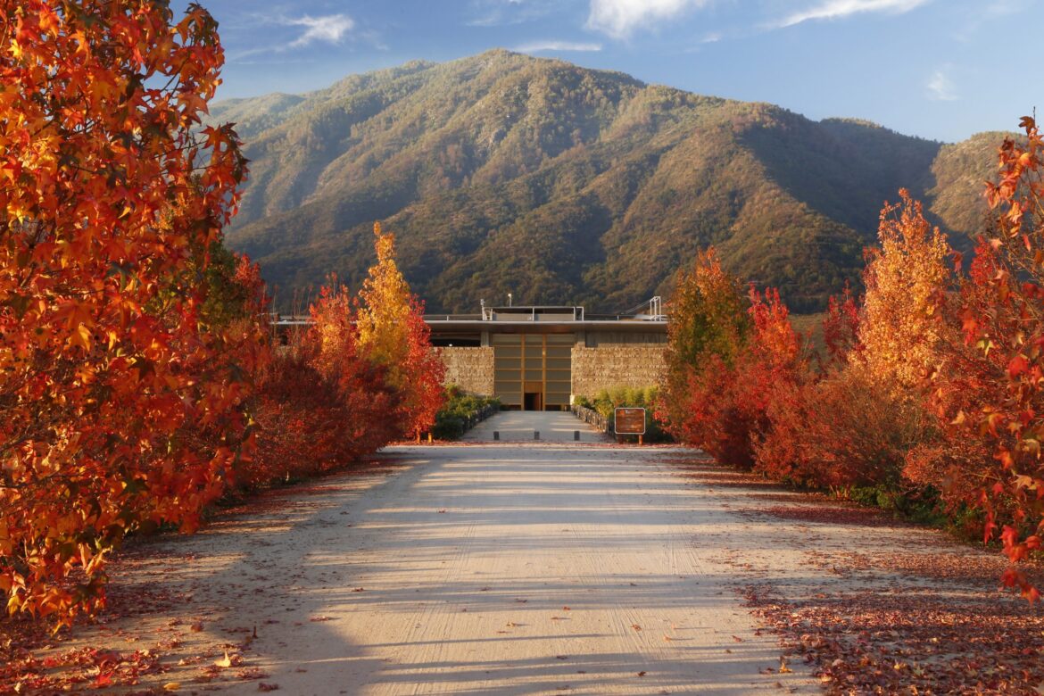 loyalty in Japan is hard won, but long lasting