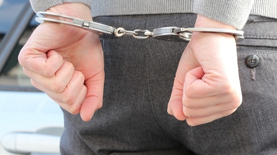  28-year-old man who lives in Tokyo allegedly ploughed his car deliberately into seven primary school children (Representative Image)(File image)