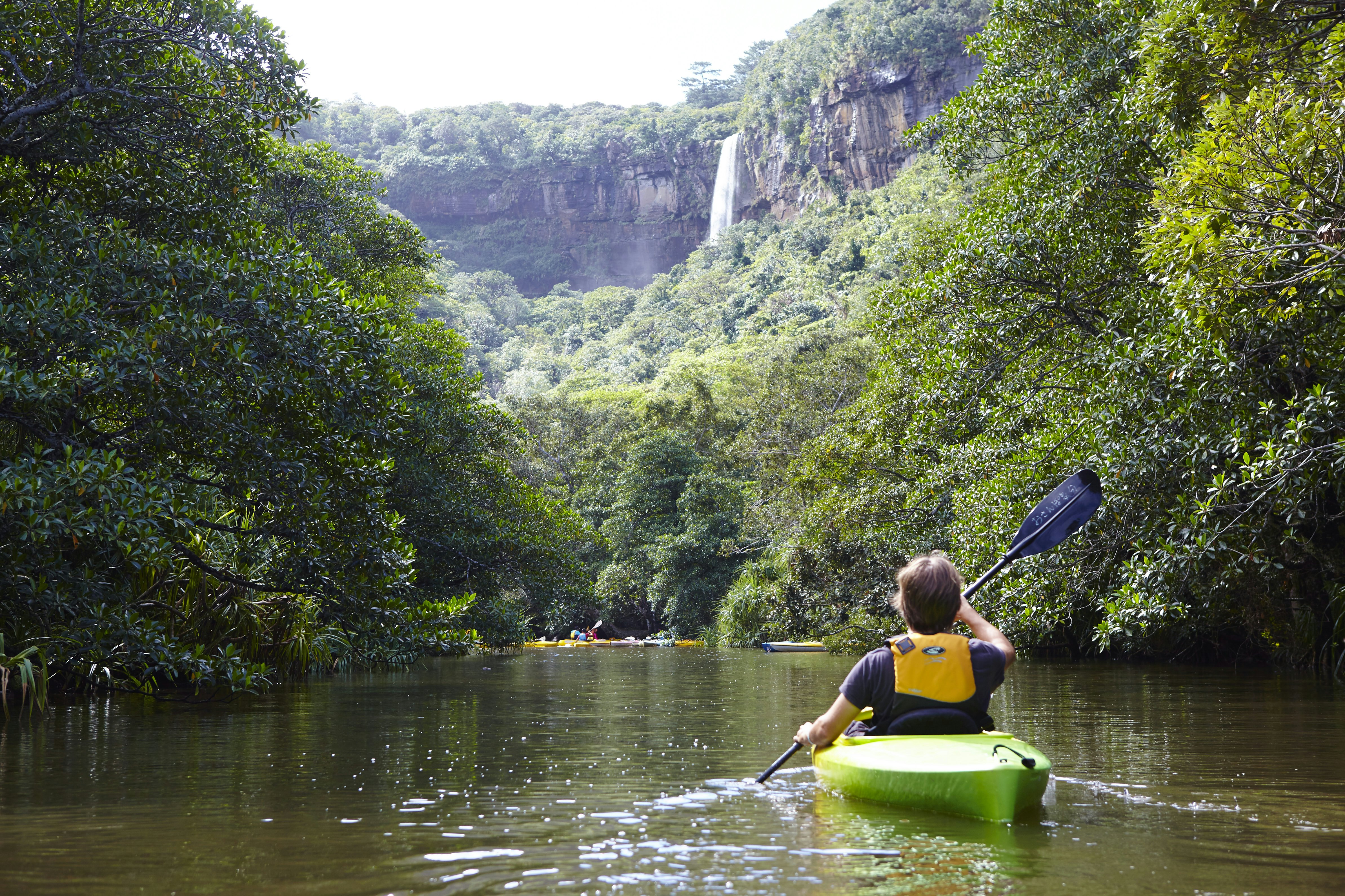A kayak trip into the jungle to reach Pinaisara Falls on Iriomote, Okinawa Islands, Japan.
