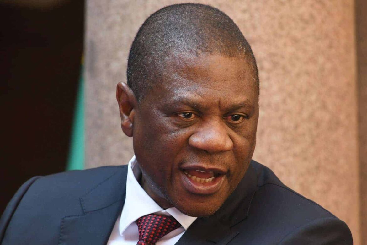 Deputy President Mashatile. Japan trip expenses