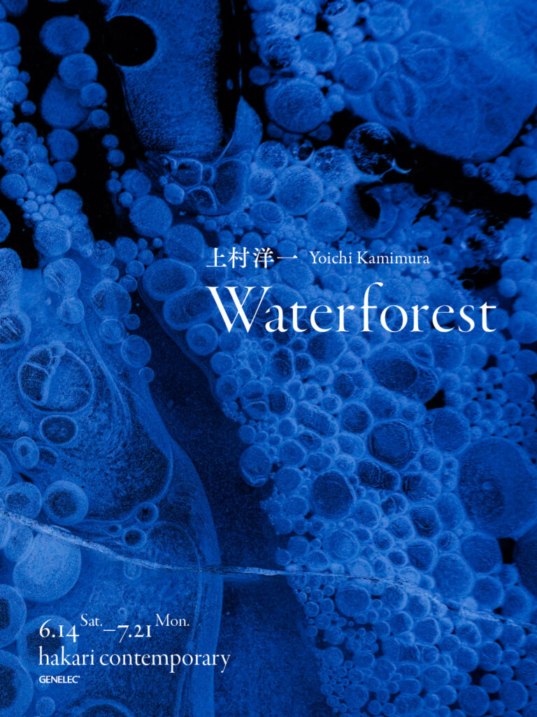 Yoichi Kamimura "Waterforest" （Hakari Contemporary） ｜Tokyo Art Beat