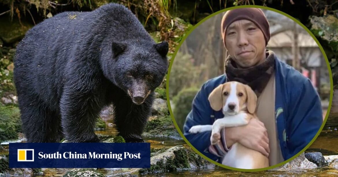 Japanese monk adopts abandoned dog deemed too noisy, later saved by canine from fierce bear Japanese monk adopts abandoned dog deemed too noisy, later saved by canine from fierce bear