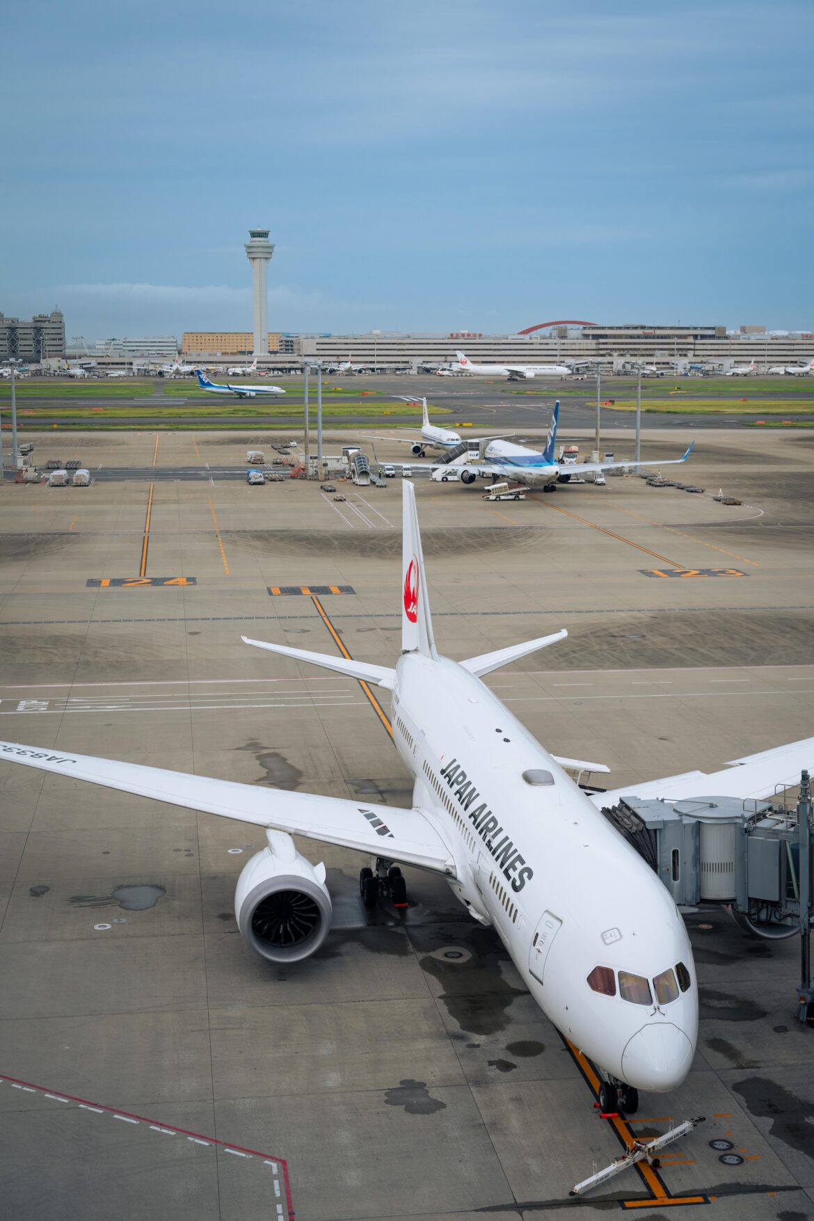 A nice spot to kill time before your flight