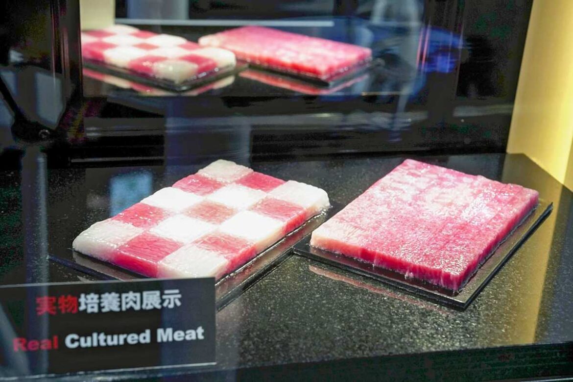 2025 Expo Osaka : Feast on Food of the Future Made with Innovative Tech