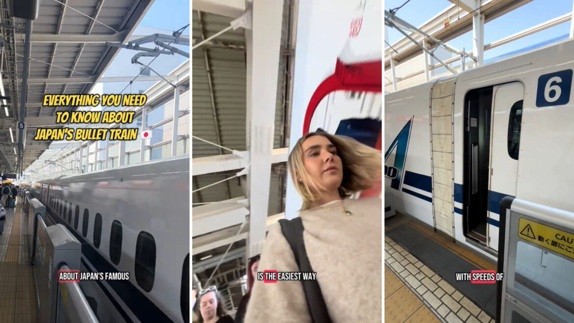 "The carriages are spacious and comfortable."