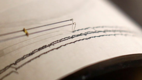 The quake was at a depth of 10 km (6.21 miles) (Representational)