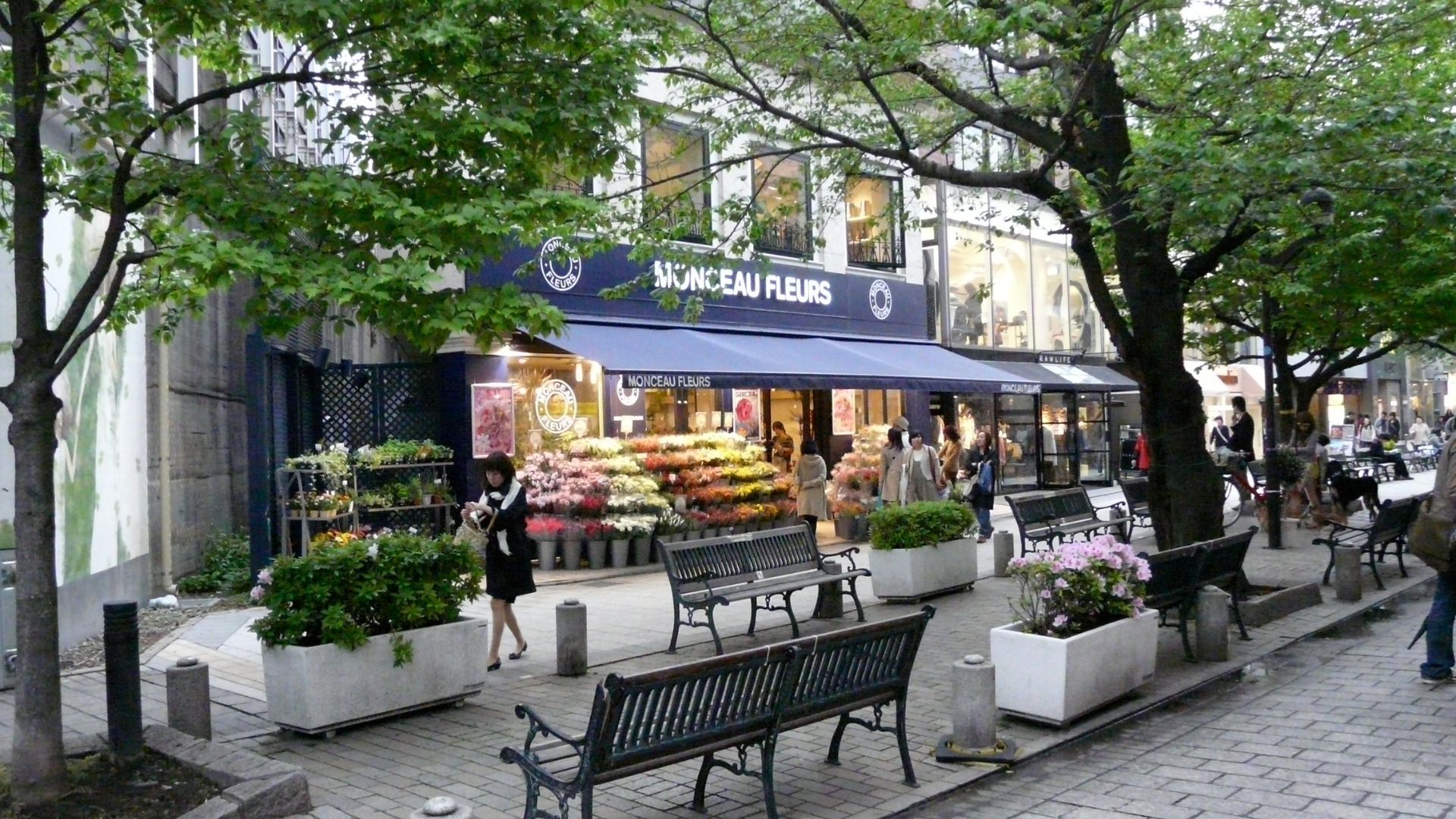 Jiyugaoka 