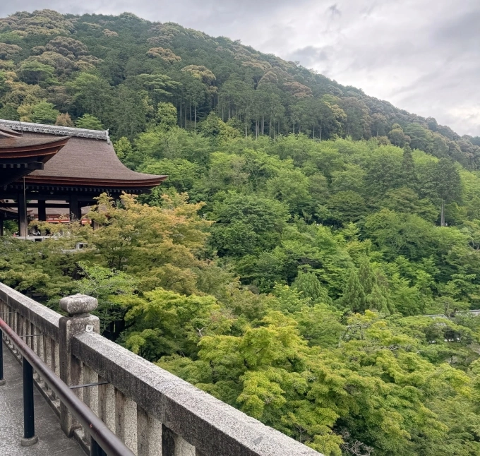 Khu vực chính điện của chùa Thanh Thủy được gọi là vũ đài Kiyomizu. Từ đây, du khách có thể tận mắt chiêm ngưỡng cảnh đẹp của cố đô và ngắm nhìn không gian lấp lánh, huyền ảo lúc lên đèn. Đặc biệt, vào mùa xuân hoa anh đào và mùa thu lá đỏ, địa điểm này luôn quá tải khách du lịch bậc nhất tại Kyoto.