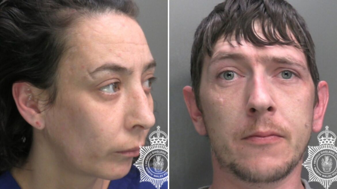 Toddler mauled by Japanese fighting dog which couple bought online for £150 Toddler mauled by Japanese fighting dog which couple bought online for £150