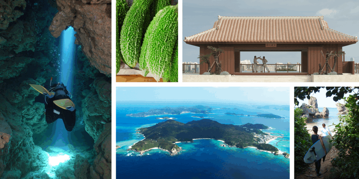 The Insider’s Guide to Okinawa The Insider's Guide to Okinawa