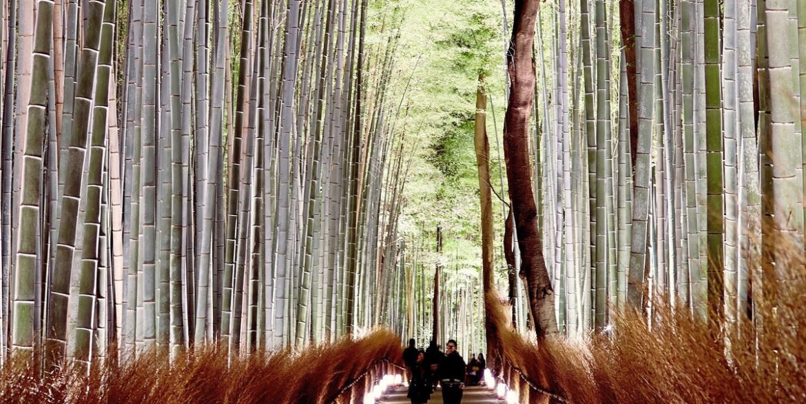 The Insider’s Guide to Kyoto The Insider's Guide to Kyoto