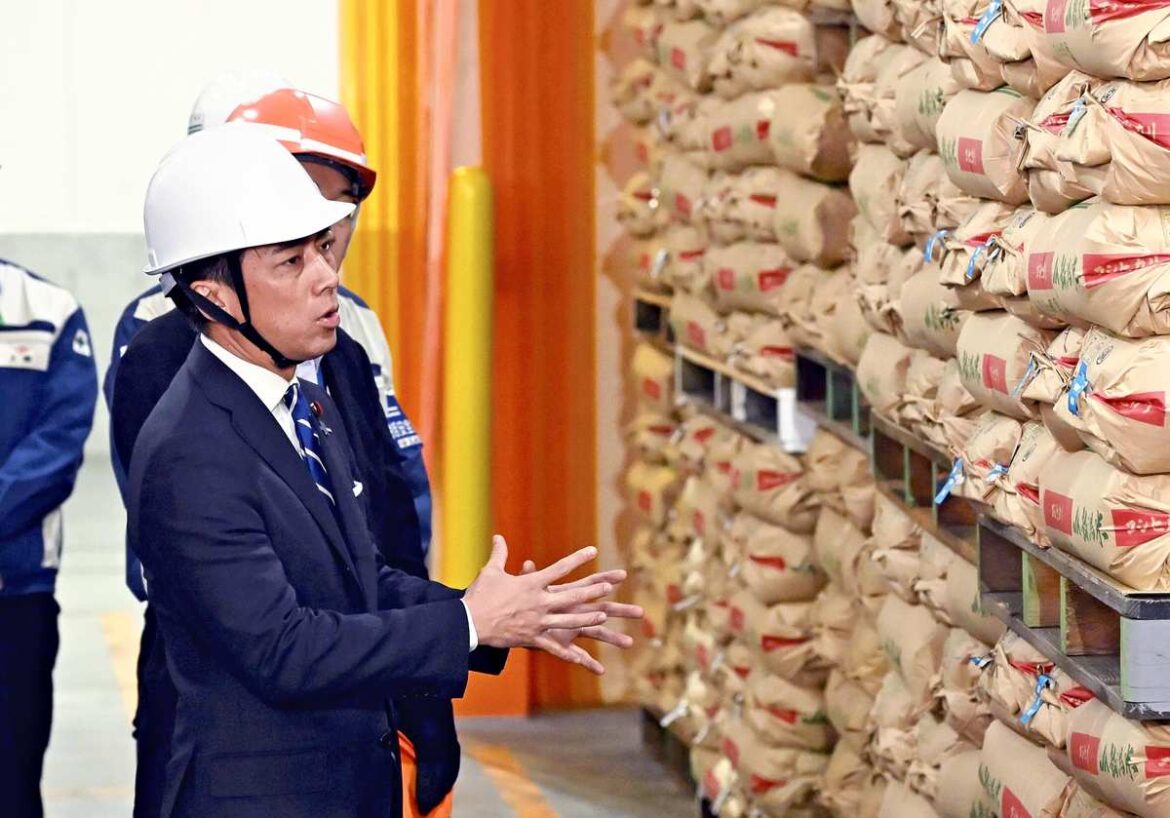 Japanese government to consider buying back high-bid stockpiled rice Japanese government to consider buying back high-bid stockpiled rice