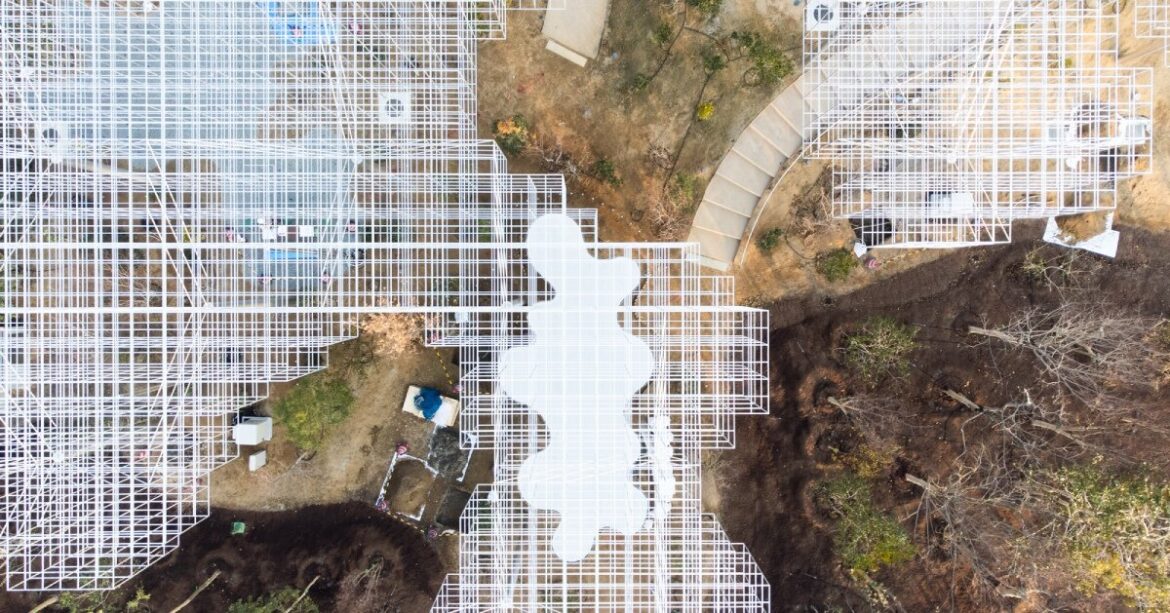 making of SANAA’s 'better co-being pavilion' at expo 2025 osaka