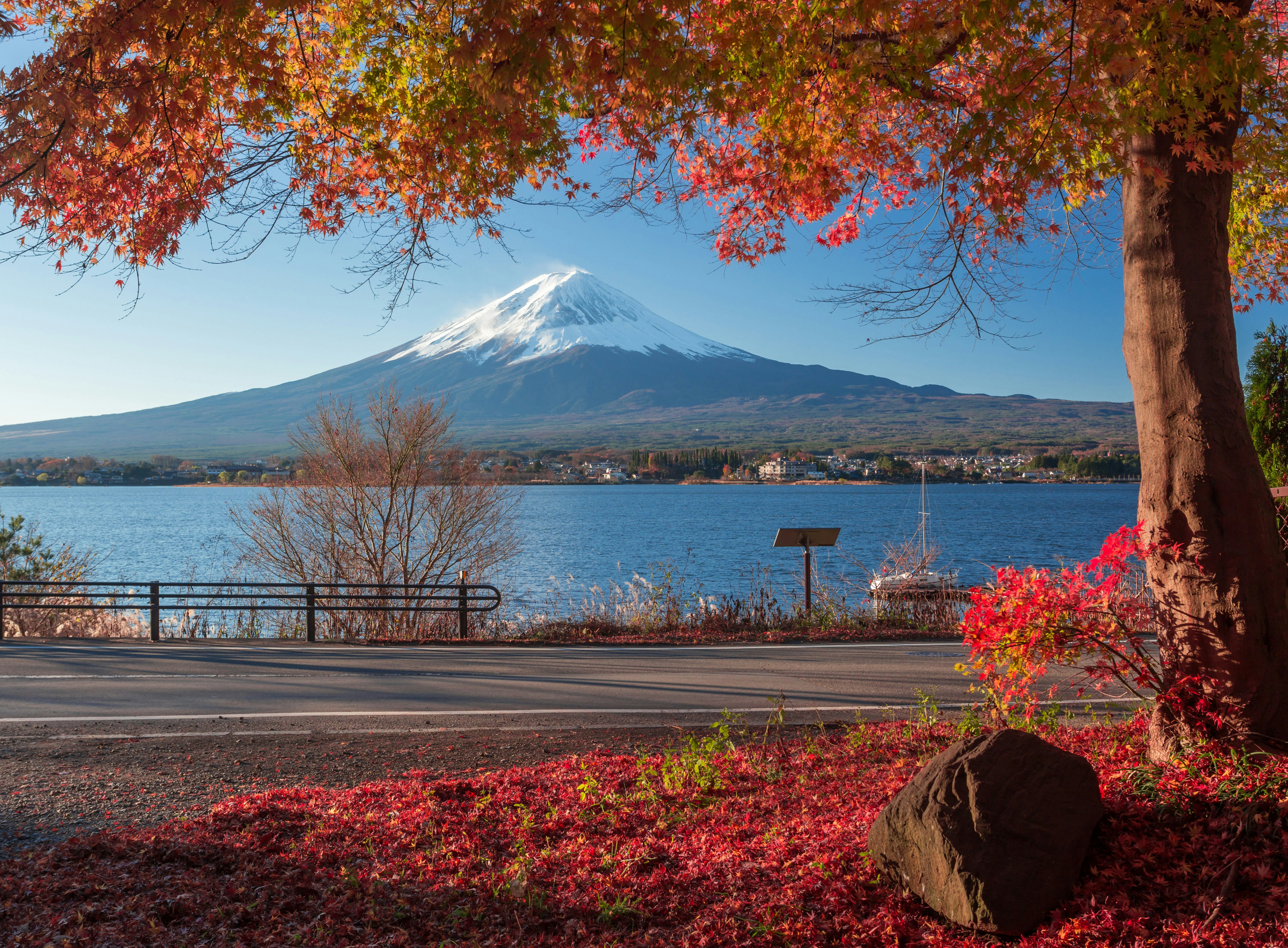 Mt Fuji and autumn foliage at Lake Kawaguchi, Japan.