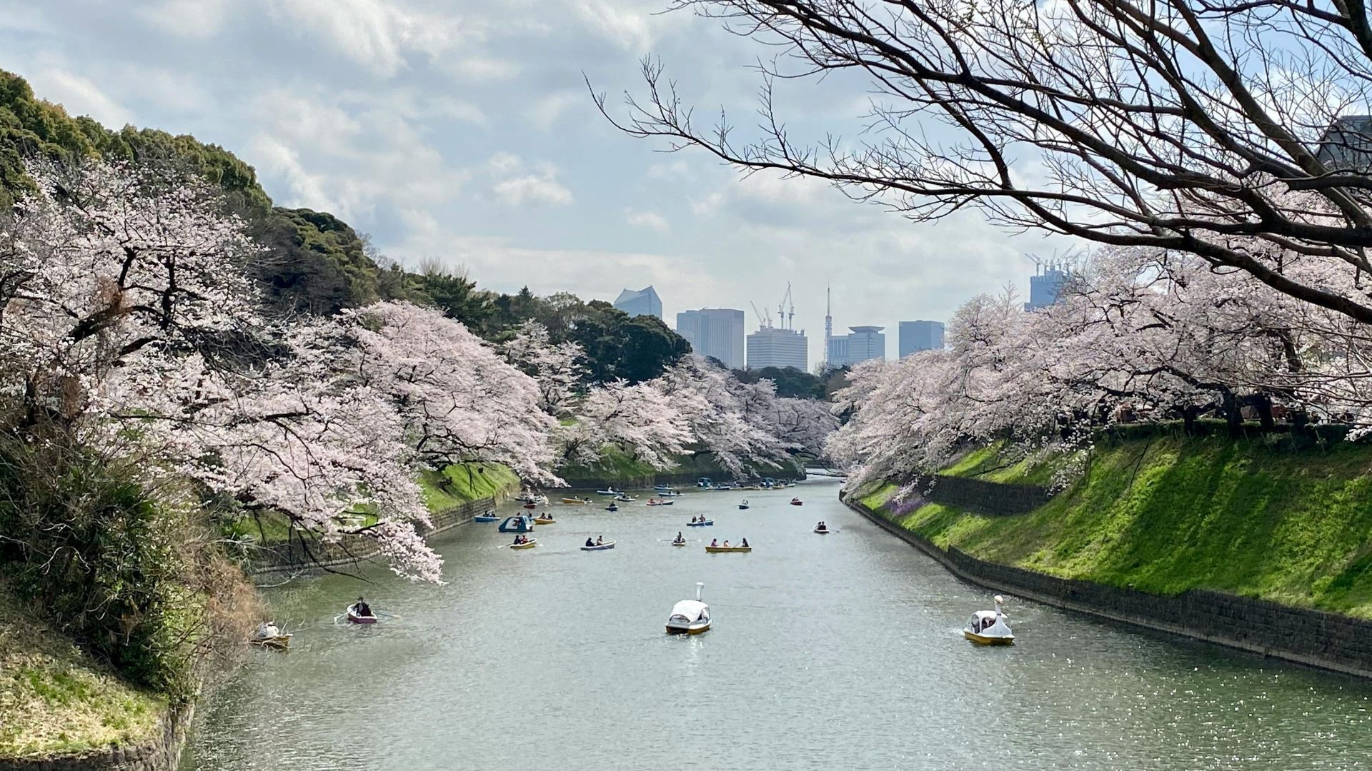 Unique things to do in Tokyo