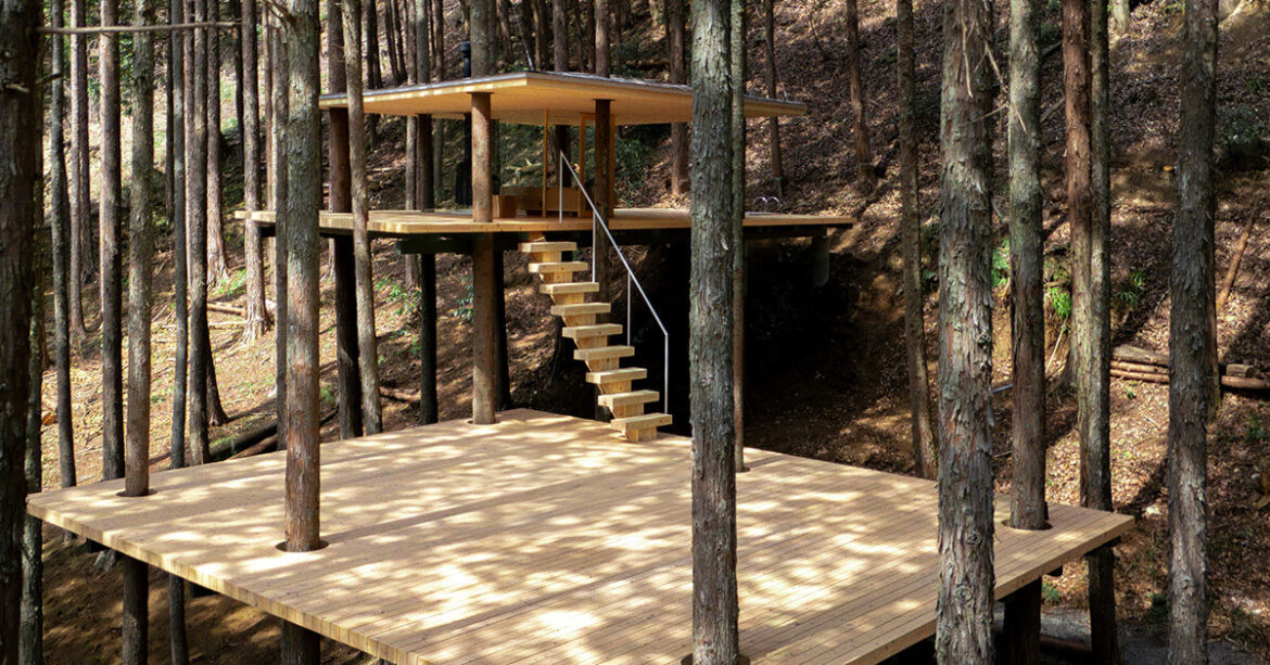 tree trunks pierce through sauna shelter by DAICHI in japan tree trunks pierce through sauna shelter by DAICHI in japan