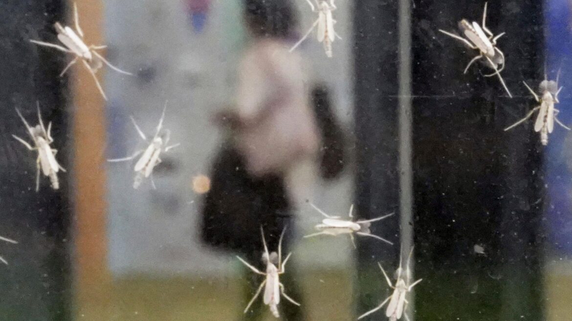 Japan’s Osaka Expo halts water shows over high bacteria levels