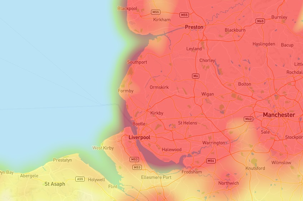 2025 Japanese knotweed hotspots in Merseyside 