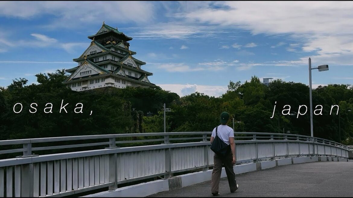 🎎🇯🇵⛩️ OSAKA Vlog - Japan l 1000 sub, cute cafes, best food, hidden locations and MORE!!!