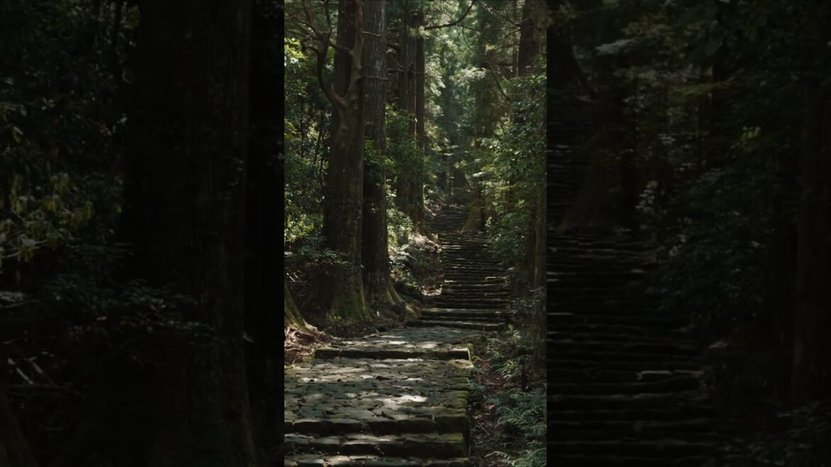 Wonder of Japan | 那智大社 - kumano nachi taisha shine, wakayama #travel #旅行 #日本 #nature #wakayama