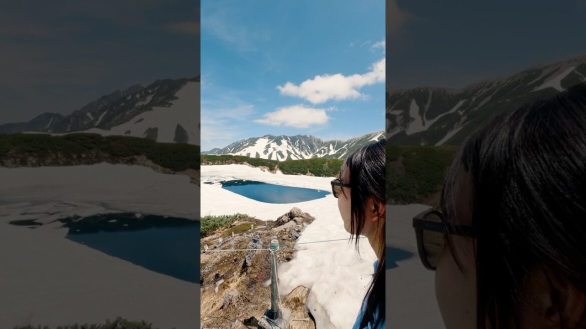 【3分Vlog】6月の猛暑に耐えきれず高地へ避暑#vlog #shorts #黒部 #立山 #富山 #立山黒部アルペンルート #カップル