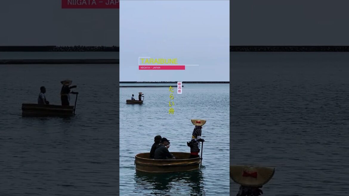 ๐ฃโโ๏ธ Sailing in a Tarai-bune: The Gentle Rhythm of Sado Island ๐ฃโโ๏ธ Sailing in a Tarai-bune: The Gentle Rhythm of Sado Island