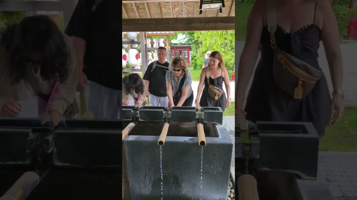 Private walking tours in Aomori #aomori Private walking tours in Aomori #aomori