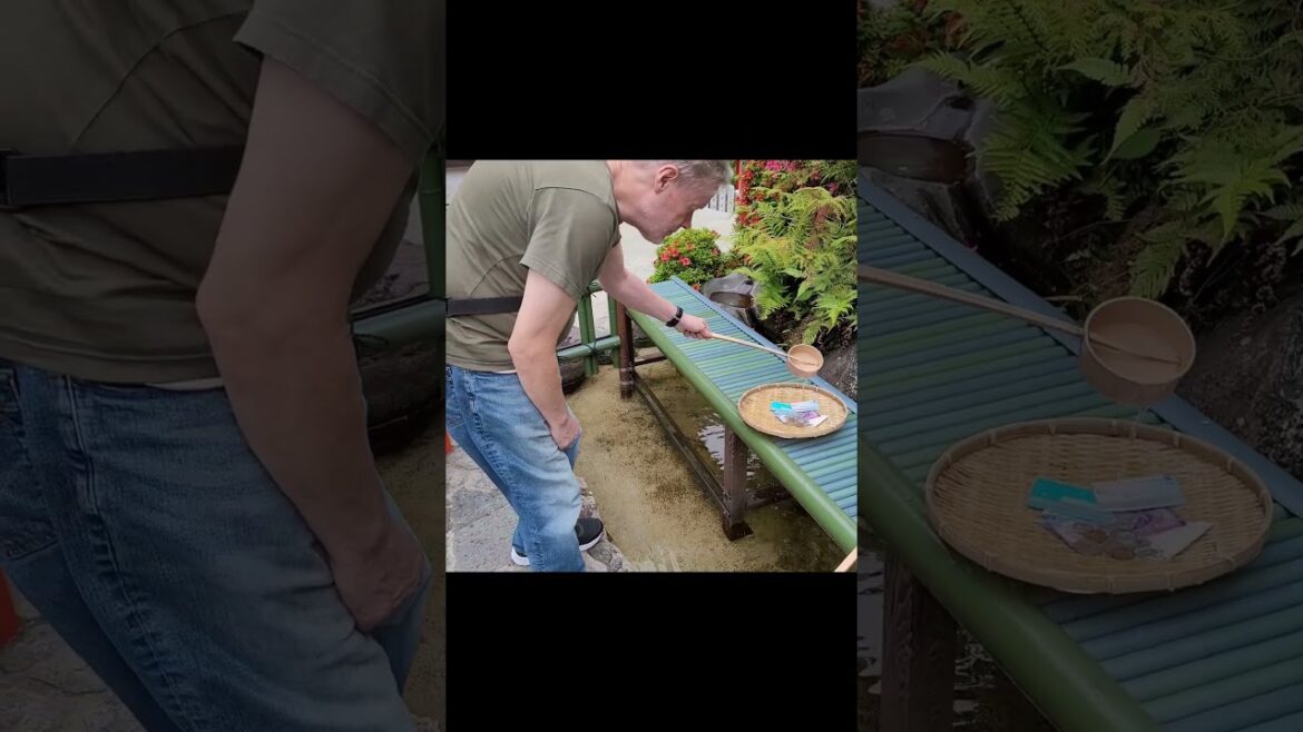 Money Laundering at Inuyama Castle Nagoya Japan. #boringnagoya #japantravel #japan Money Laundering at Inuyama Castle Nagoya Japan. #boringnagoya #japantravel #japan