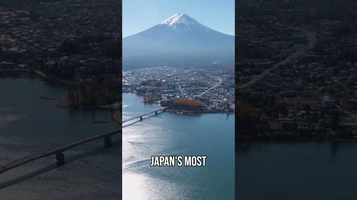 Shinkansen Ride Japan’s Bullet Train & See Mt Fuji! Shinkansen Ride Japan's Bullet Train & See Mt Fuji!