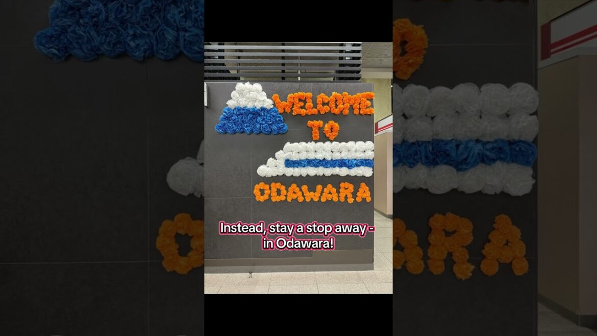 Why You Should Stay in Odawara Instead of Hakone!