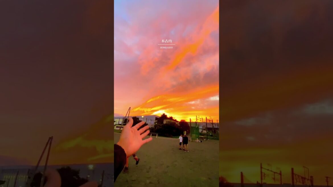 北海道で見た夕日が、今までの人生で一番綺麗だった…  #Shorts