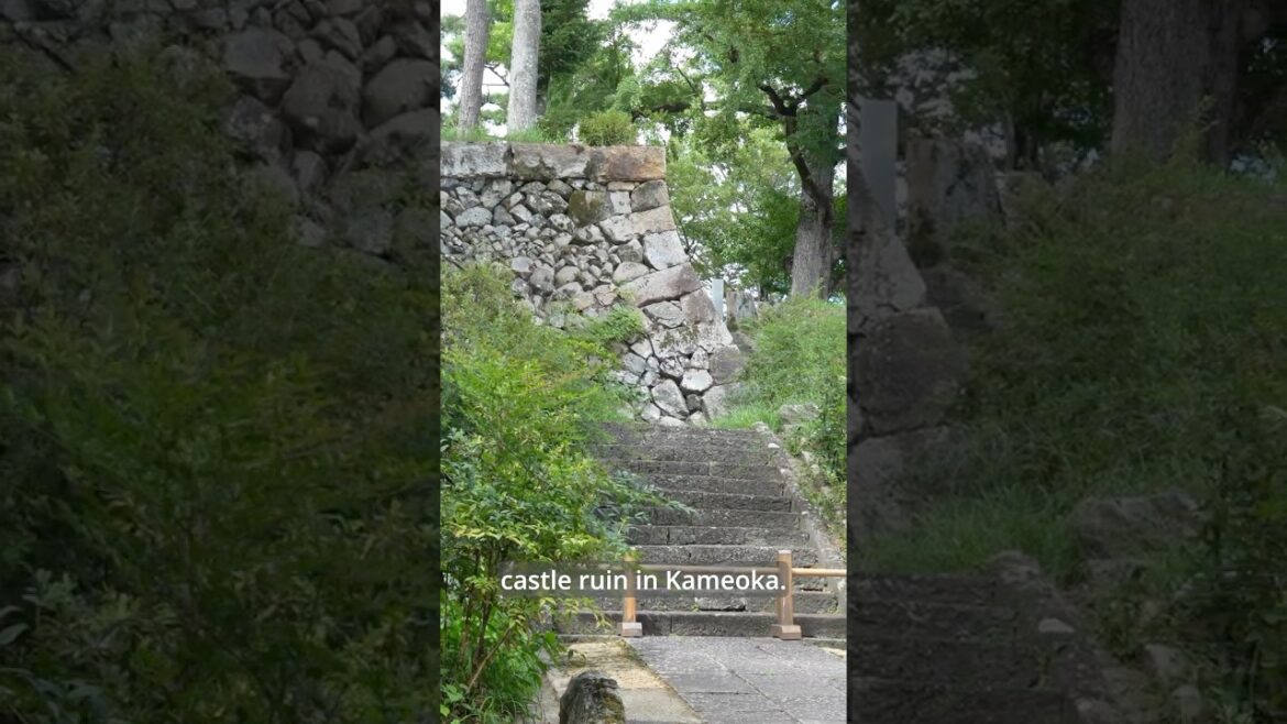Hidden Castle Ruins near Arashiyama 🏯✨ #japantravel