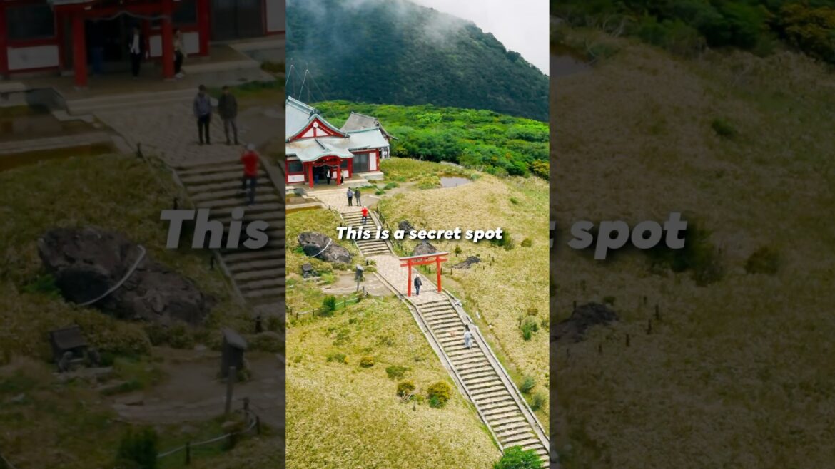 Don’t Tell Anyone. These Are Hakone’s Hidden Gems. #zen #japan #travel #hakone