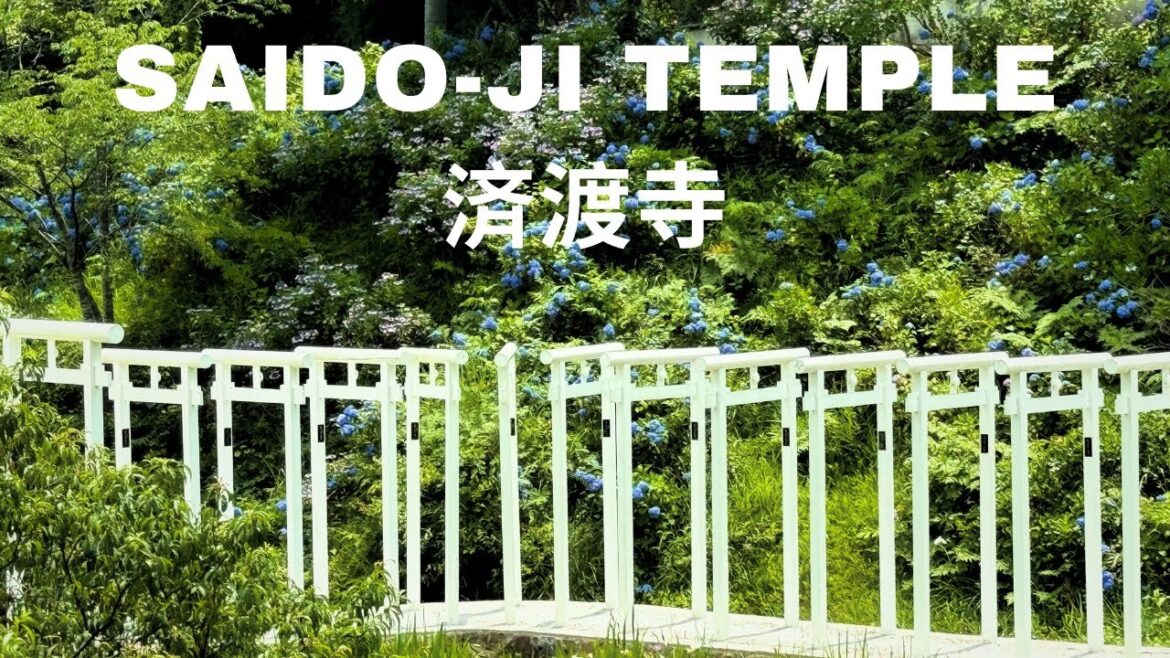 Saido-ji (済渡寺): The White Gate Buddhist Temple in Niimi, Okayama – A Stunning Japanese Gem! Saido-ji (済渡寺): The White Gate Buddhist Temple in Niimi, Okayama - A Stunning Japanese Gem!