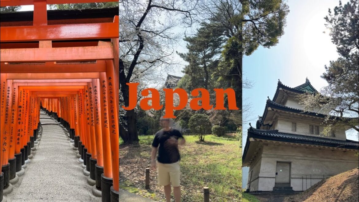 Tokyo & Kyoto: The Ultimate Vlog Adventure! #travel #vacation #japan #tokyo #vlog #youtube #shorts Tokyo & Kyoto: The Ultimate Vlog Adventure! #travel #vacation #japan #tokyo #vlog #youtube #shorts